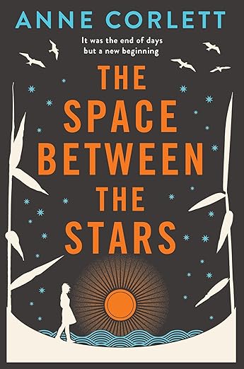 The Space Between the Stars cover